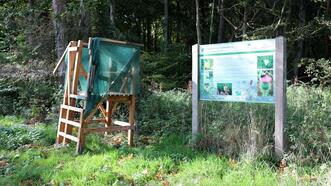Lehrpfad Wanderweg Buchenhorst - Infotafel Lebensraum Waldwiese