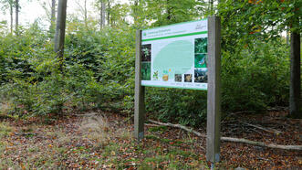 Lehrpfad Wanderweg Buchenhorst - Infotafel: Die Buche und Ihre Kinder - ein kleiner "Erziehungsberater"