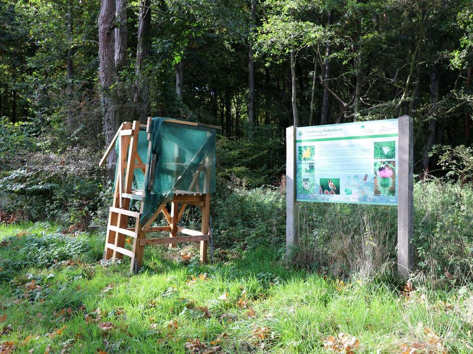 Lehrpfade: »Wanderweg Buchenhorst«