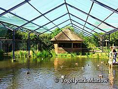 Vogelpark Marlow - Boddenlandschaft