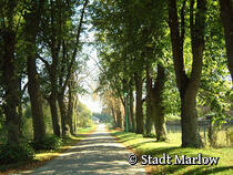 Grüne Stadt Marlow