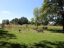 Calisthenics / Trimm-Dich-Platz Ribnitz-Damgarten