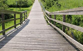 Historischer Rundgang Damgarten - Brücke über den Templer Bach