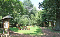 Naturlehrpfad Ribnitzer Großes Moor