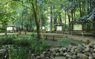 Naturpfad Naturschutzgebiet Ribnitzer Großes Moor