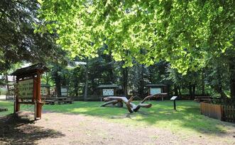 Naturpfad Naturschutzgebiet Ribnitzer Großes Moor