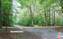 Naturschutzgebiet Ribnitzer Moor