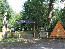 Naturpfad Naturschutzgebiet »Ribnitzer Großes Moor«