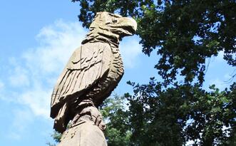 Naturpfad Naturschutzgebiet "Ribnitzer Großes Moor"