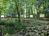 Naturpfad Naturschutzgebiet Ribnitzer Großes Moor