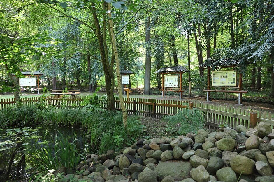 Naturpfad Naturschutzgebiet Ribnitzer Großes Moor