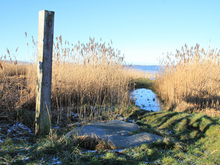 Moischenstein Langendamm