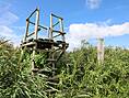 kleine Aussichtsplattform / Hochstand am Moischenstein Langendamm