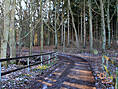 Moischenstein Ribnitz-Damgarten OT Langendamm