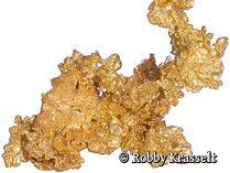 Goldstufe aus Kalifornien