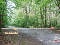 Tour durch das Ribnitzer Große Moor