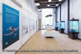 Burmeister-Gedenkstätte