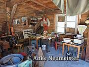 NAUTINEUM Ausstellung - Deutsches Meeresmuseum