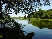 Knieperteich Stralsund