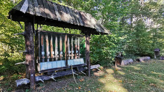 Naturlehrpfad Bremerhagen - Laubbäume