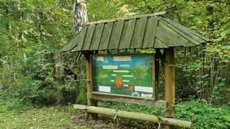 Naturlehrpfad Bremerhagen - Gefahren, die den Wald bedrohen