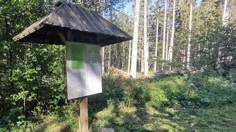 Naturlehrpfad Bremerhagen - Waldumbau vom Forst zum gemischten Wald
