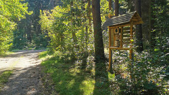 Naturlehrpfad Bremerhagen - Wälder