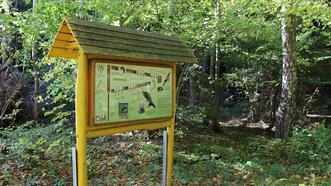 Naturlehrpfad Bremerhagen - Nahrungskreisläufe