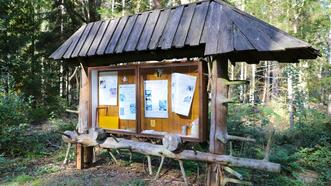Naturlehrpfad Bremerhagen - Bienen