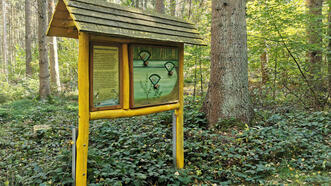 Naturlehrpfad Bremerhagen - Kleingewässer im Wald