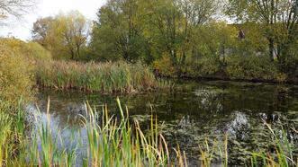 Naturlehrpfad Bremerhagen - Teich