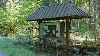 Naturlehrpfad Bremerhagen - Fledermaus