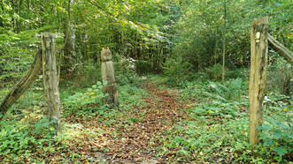 Naturlehrpfad Bremerhagen - Strauchgarten