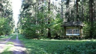 Naturlehrpfad Bremerhagen - Nadelbäume