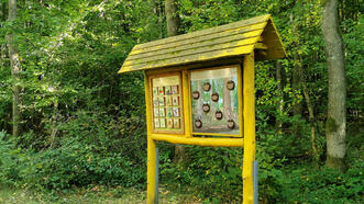 Naturlehrpfad Bremerhagen - Lebensraum Wald