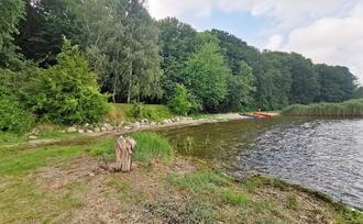 Naturpfad NSG Kormorankolonie Niederhagen - Strelasund