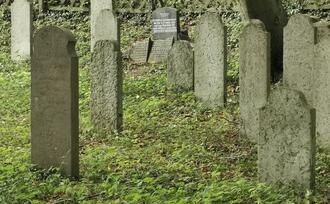 Naturpfad NSG Kormorankolonie Niederhagen - Jüdischer Friedhof
