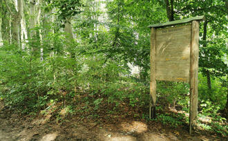 Naturpfad NSG Kormorankolonie Niederhagen - Infotafel Kormoran