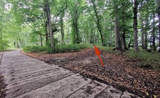 Naturpfad NSG Kormorankolonie Niederhagen - Weg zum jüdischen Friedhof