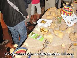 Stand des Kartoffelmuseums in der Feldsteinscheune von Bollewick 2009 