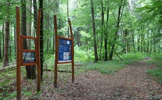 Naturlehrpfad »Der Baumschatz von Schuenhagen« – Station 4 – Baumgeist »Piceus«