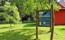 Schreiadler-Wissensparkour Schuenhagen