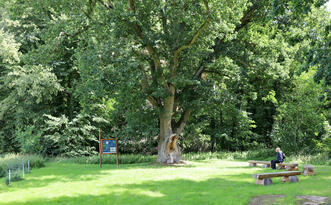 Naturlehrpfad »Der Baumschatz von Schuenhagen«