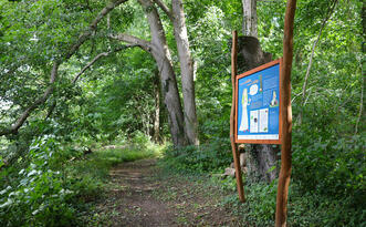 Naturlehrpfad »Der Baumschatz von Schuenhagen« Station 2 – Baumgeist »Libuscha«