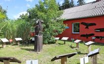 Schreiadler Wissensparkour Schuenhagen