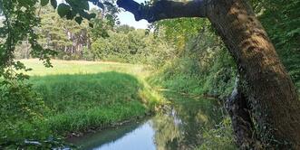 Naturlehrpfad »Der Baumschatz von Schuenhagen« – Barthe