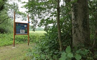 Naturlehrpfad »Der Baumschatz von Schuenhagen« - Station 6 – Baumgeist »Else«