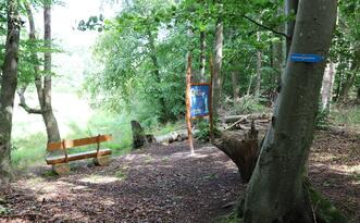 Naturlehrpfad »Der Baumschatz von Schuenhagen« – Station 3 – Baumgeist »Aska«