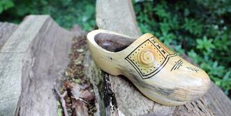 Naturlehrpfad »Der Baumschatz von Schuenhagen« – Holzschuh