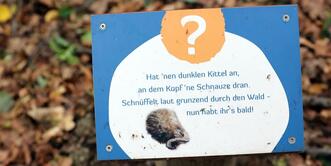 Naturlehrpfad »Der Baumschatz von Schuenhagen« - Bodentafel